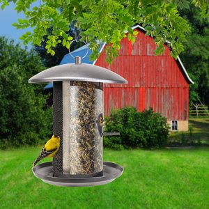 Rustic Farmhouse Galvanized Combo Dual Mixed Seed Wild Bird Feeders