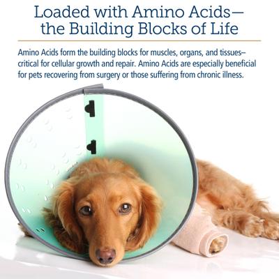 Show full view: Rx Vitamins Amino B-Plex Liquid Nutritional Supplement for Cats & Dogs, 2-fl oz bottle slide 5 of 9