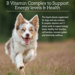 Rx Vitamins Amino B-Plex Liquid Nutritional Supplement for Cats & Dogs, 4-fl oz bottle slide 2 of 7