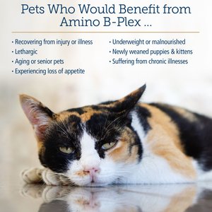 Rx Vitamins Amino B-Plex Liquid Nutritional Supplement for Cats & Dogs, 4-fl oz bottle