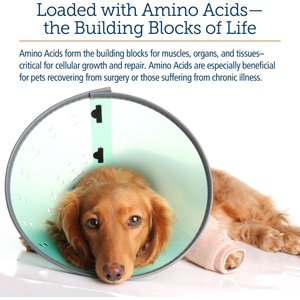Rx Vitamins Amino B-Plex Liquid Nutritional Supplement for Cats & Dogs, 4-fl oz bottle