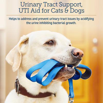 Show full view: Rx Vitamins Cranberry Rx Capsules Urinary Supplement for Cats & Dogs, 90 count slide 3 of 9