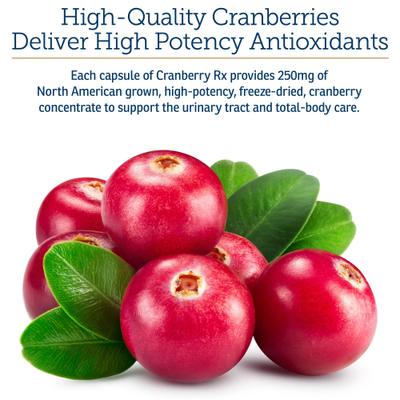 Show full view: Rx Vitamins Cranberry Rx Capsules Urinary Supplement for Cats & Dogs, 90 count slide 4 of 9