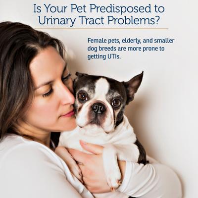 Show full view: Rx Vitamins Cranberry Rx Capsules Urinary Supplement for Cats & Dogs, 90 count slide 5 of 9