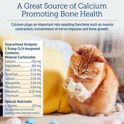 Show full view: Rx Vitamins Feline Minerals Powder Supplement for Cats, 227-g jar slide 8 of 9