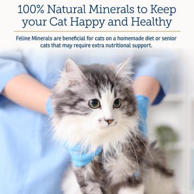 Show full view: Rx Vitamins Feline Minerals Powder Supplement for Cats, 227-g jar slide 6 of 9