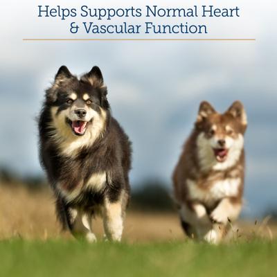 Show full view: Rx Vitamins Formula CV Capsules Heart Supplement for Cats & Dogs, 90 count slide 3 of 8