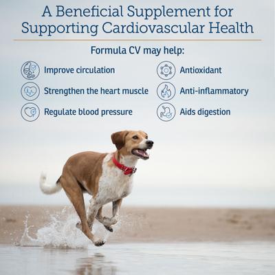 Show full view: Rx Vitamins Formula CV Capsules Heart Supplement for Cats & Dogs, 90 count slide 4 of 8