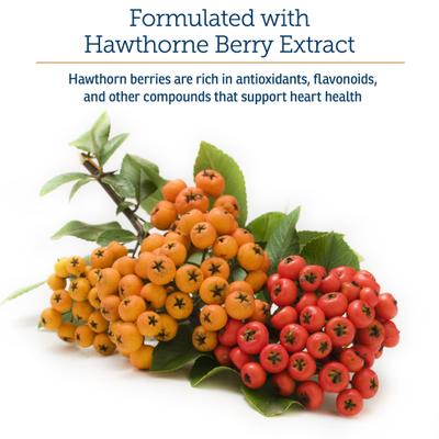 Show full view: Rx Vitamins Formula CV Capsules Heart Supplement for Cats & Dogs, 90 count slide 5 of 8