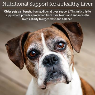 Show full view: Rx Vitamins Hepato Chicken Flavored Liquid Liver Supplement for Cats & Dogs, 4-fl oz bottle slide 3 of 8