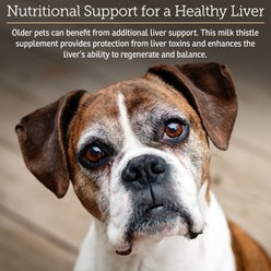 Rx Vitamins Hepato Support Liver Supplement for Cats & Dogs, 180 count slide 2 of 6