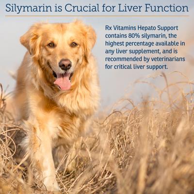 Show full view: Rx Vitamins Hepato Support Liver Supplement for Cats & Dogs, 180 count slide 5 of 8