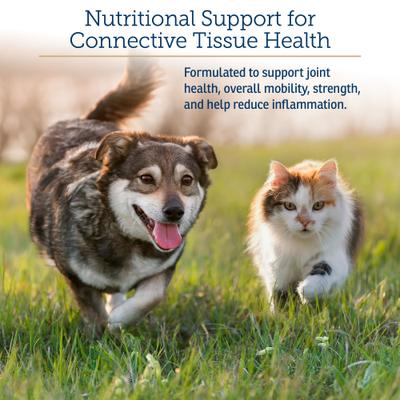 Show full view: Rx Vitamins NutriFlex Chewable Tablets Joint Supplement for Cats & Dogs, 90 count slide 3 of 9
