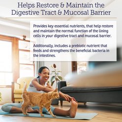 Rx Vitamins Nutrigest Powder Digestive Supplement for Cats & Dogs, 132-g jar slide 2 of 6