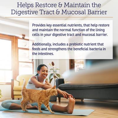 Show full view: Rx Vitamins Nutrigest Powder Digestive Supplement for Cats & Dogs, 132-g jar slide 3 of 8