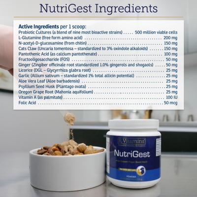 Show full view: Rx Vitamins Nutrigest Powder Digestive Supplement for Cats & Dogs, 132-g jar slide 6 of 8