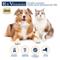 Show in main carousel: Rx Vitamins Phos-Bind Kidney Support Dog & Cat Supplement, 200-g slide 7 of 8