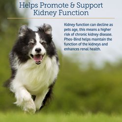 Rx Vitamins Phos-Bind Kidney Support Dog & Cat Supplement, 35-g bottle slide 2 of 6