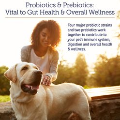 Rx Vitamins Rx Biotic Powder Digestive Supplement for Cats & Dogs, 2.12-oz bottle slide 2 of 6