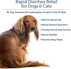 Rx Vitamins Rx Clay Powder Digestive Supplement for Dogs, 100-g slide 2 of 6