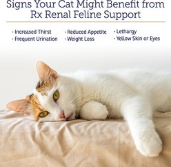 Rx Vitamins Rx Renal Capsules Kidney Supplement for Cats, 120 count slide 2 of 7