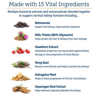 Show full view: Rx Vitamins Rx Renal Capsules Kidney Supplement for Cats, 120 count slide 5 of 9