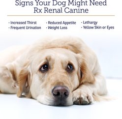 Rx Vitamins Rx Renal Capsules Kidney Supplement for Dogs, 120 count slide 2 of 6