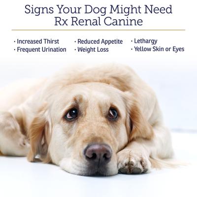 Show full view: Rx Vitamins Rx Renal Capsules Kidney Supplement for Dogs, 120 count slide 3 of 8