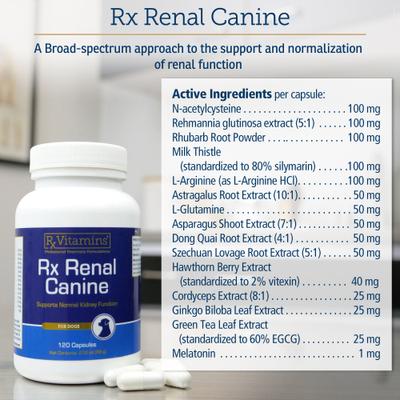 Show full view: Rx Vitamins Rx Renal Capsules Kidney Supplement for Dogs, 120 count slide 6 of 8