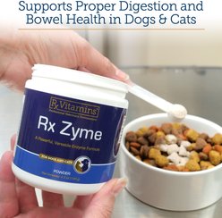 Rx Vitamins Rx Zyme Powder Digestive Supplement for Cats & Dogs, 120-g jar slide 2 of 7