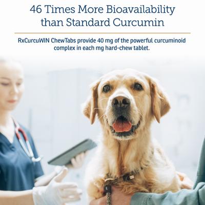 Show full view: Rx Vitamins RxCurcuWIN Chewable Tablet Immune Supplement for Cats & Dogs, 90 count slide 6 of 10