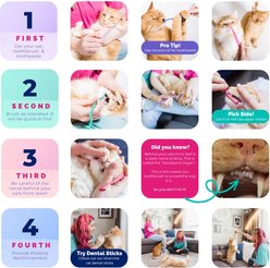 RYERCAT Dual Sided Cat Dental Toothbrush, Lavender slide 2 of 7