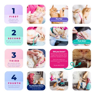 Show full view: RYERCAT Dual Sided Cat Dental Toothbrush, Lavender slide 7 of 9