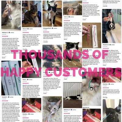 Show full view: RYERCAT Dual Sided Cat Dental Toothbrush, Lavender slide 8 of 9