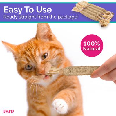 Show full view: RYERCAT Silvervine Stick Cat Dental Chew Toy slide 3 of 8