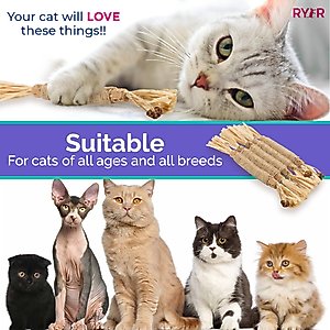 RYERCAT Silvervine Stick Cat Dental Chew Toy