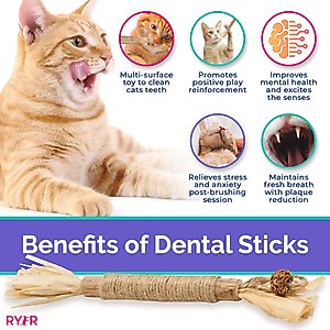 RYERCAT Silvervine Stick Cat Dental Chew Toy