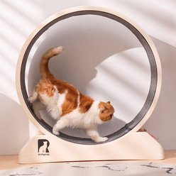 RYPetmia Carpeted Running Wheel Cat Treadmill, Large: 31.5-in, Custard