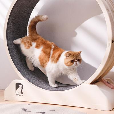 Show full view: RYPetmia Carpeted Running Wheel Cat Treadmill, Large: 31.5-in, Custard slide 5 of 10