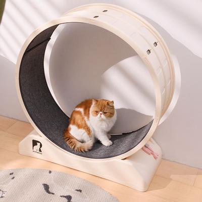 Show full view: RYPetmia Carpeted Running Wheel Cat Treadmill, Large: 31.5-in, Custard slide 3 of 10