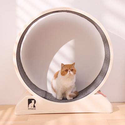 Show full view: RYPetmia Carpeted Running Wheel Cat Treadmill, Large: 31.5-in, Custard slide 2 of 10