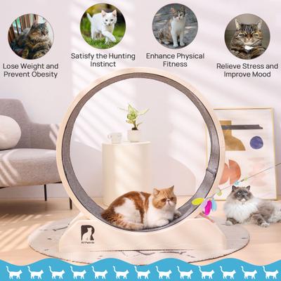 Show full view: RYPetmia Carpeted Running Wheel Cat Treadmill, Large: 31.5-in, Custard slide 7 of 10