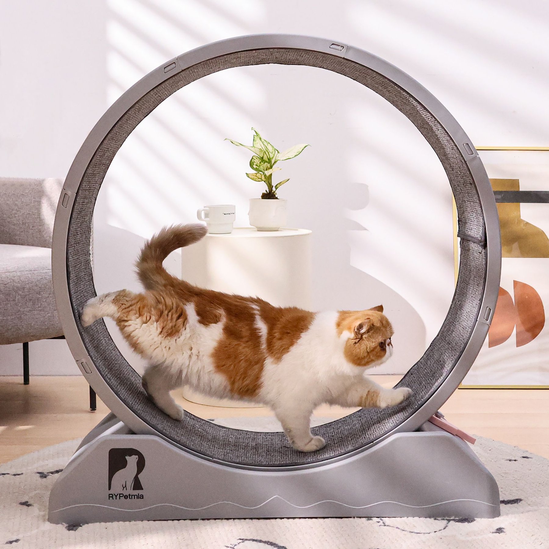 RYPetmia Carpeted Running Wheel Cat Treadmill, Large: 31.5-in, ‎Gray