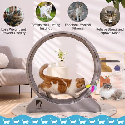 Show full view: RYPetmia Carpeted Running Wheel Cat Treadmill, Large: 31.5-in, ‎Gray slide 9 of 11