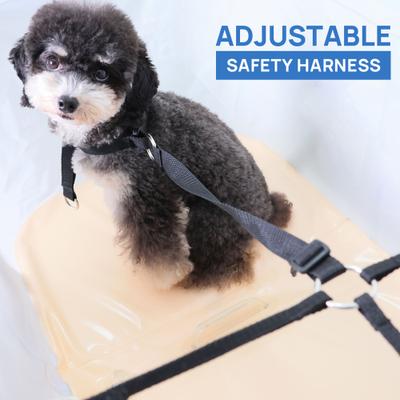 Show full view: RYPetmia Elevated Folding Dog Bathtub Wash Station, ‎Gray slide 8 of 9