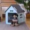 Show in main carousel: RYPetmia Indoor Wooden Dog & Cat House with Bed, Blue, Small slide 7 of 10