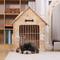 Show in main carousel: RYPetmia Indoor Wooden Dog & Cat House with Bed, Light Wood, Small slide 3 of 10