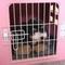 Show in main carousel: RYPetmia Indoor Wooden Dog & Cat House with Bed, Pink, Small slide 8 of 10