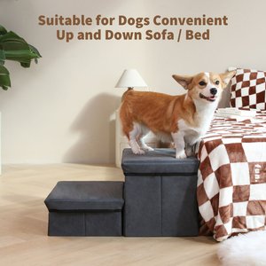 RYPetmia Non-Slip 2-Step Foldable Dog Stairs with Storage, Gray
