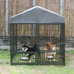 RYPetmia Outdoor Metal Dog Kennel with Roof, Black, Large: 4.5 x 4.5 x 4.9-ft
